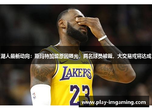 湖人最新动向：斯玛特加盟原因曝光，两名球员被裁，大交易或将达成